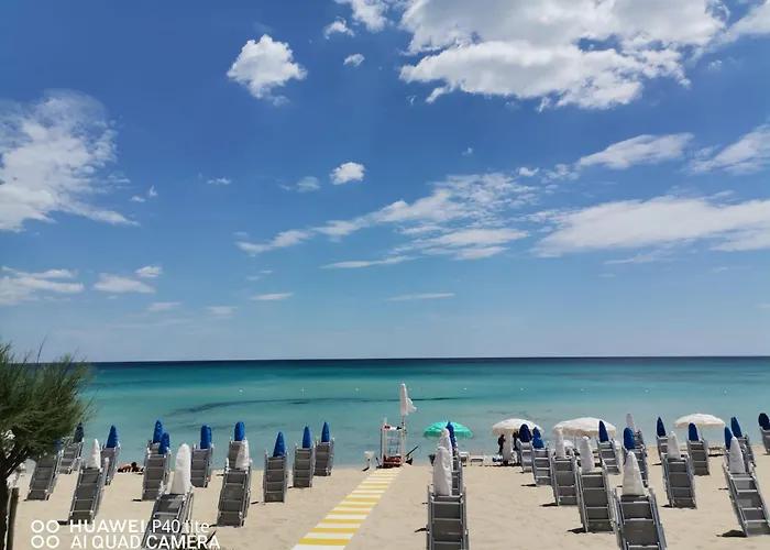 Barneys Design Taranto