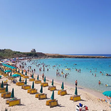 Barneys Design * 塔兰托